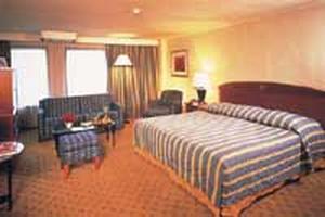 Park Plaza Hotel